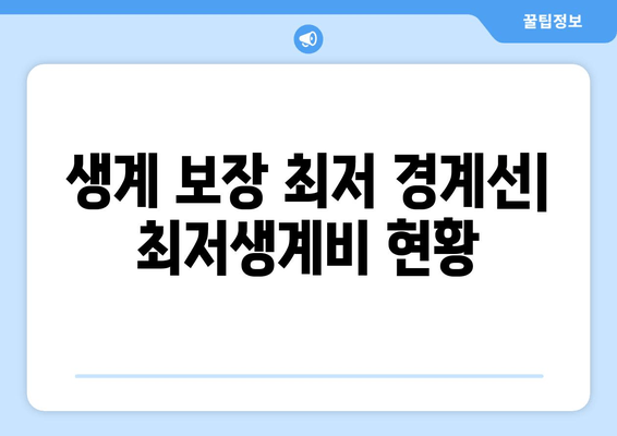 생계 보장 최저 경계선| 최저생계비 현황