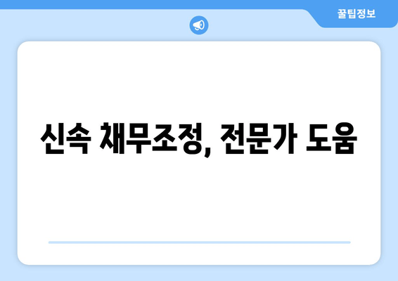 신속 채무조정, 전문가 도움