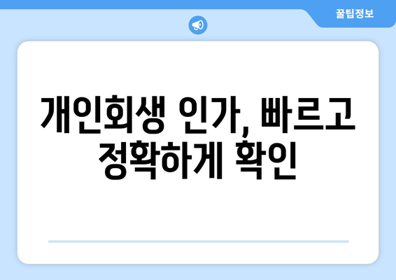 개인회생 인가, 빠르고 정확하게 확인