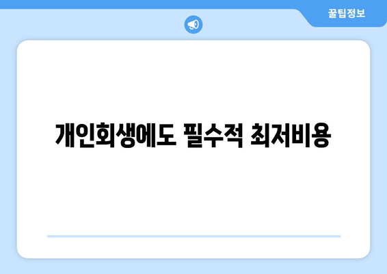 개인회생에도 필수적 최저비용