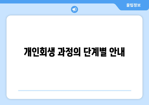 개인회생 과정의 단계별 안내