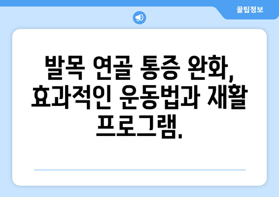 발목 연골 통증, 이제 효과적으로 관리하세요! | 발목 통증, 연골 손상, 운동법, 재활