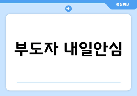 부도자 내일안심