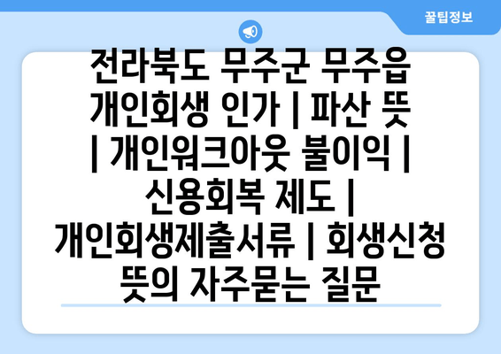 전라북도 무주군 무주읍 개인회생 인가 | 파산 뜻 | 개인워크아웃 불이익 | 신용회복 제도 | 개인회생제출서류 | 회생신청 뜻