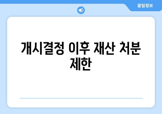 개시결정 이후 재산 처분 제한