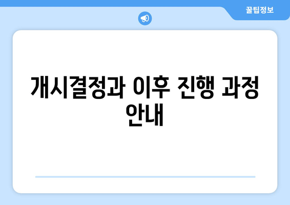 개시결정과 이후 진행 과정 안내