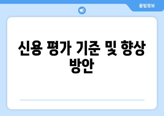 신용 평가 기준 및 향상 방안