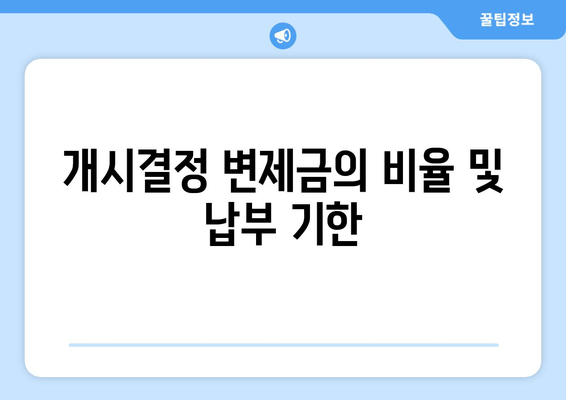 개시결정 변제금의 비율 및 납부 기한