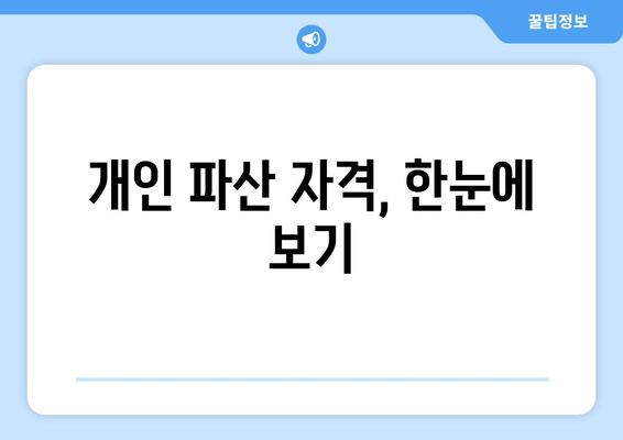 개인 파산 자격, 한눈에 보기