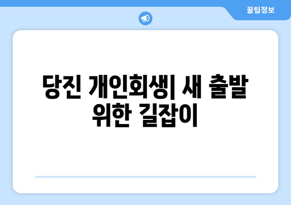 당진 개인회생| 새 출발 위한 길잡이