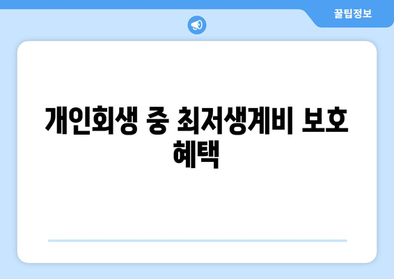 개인회생 중 최저생계비 보호 혜택