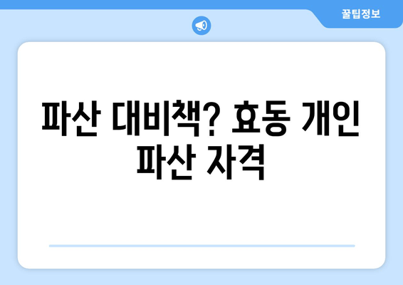 파산 대비책? 효동 개인 파산 자격