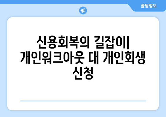 신용회복의 길잡이| 개인워크아웃 대 개인회생 신청