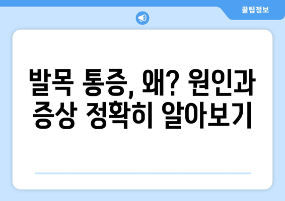 발목 인대 연골 손상| 통증 완화부터 재활까지, 완벽 관리 가이드 | 발목 통증, 발목 부상, 인대 파열, 연골 손상, 재활 운동