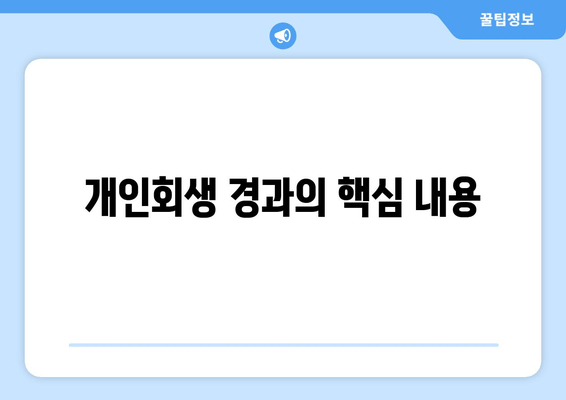 개인회생 경과의 핵심 내용