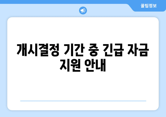 개시결정 기간 중 긴급 자금 지원 안내