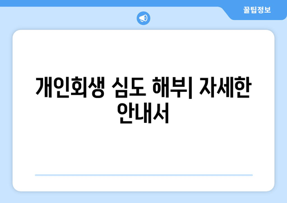 개인회생 심도 해부| 자세한 안내서