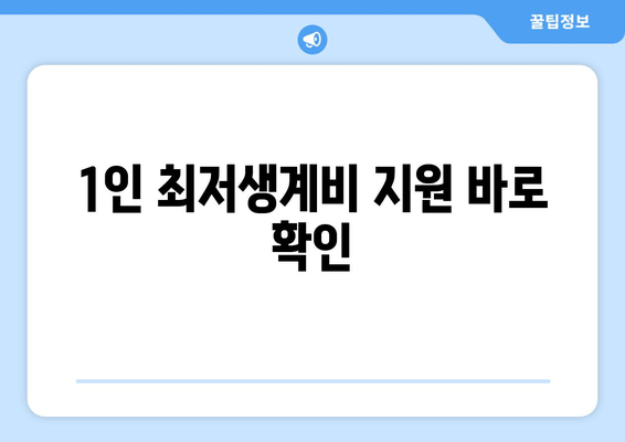 1인 최저생계비 지원 바로 확인