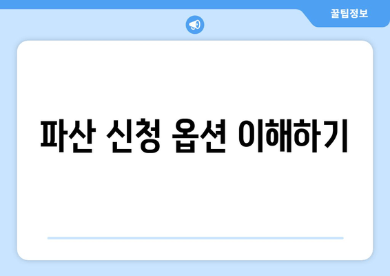 파산 신청 옵션 이해하기