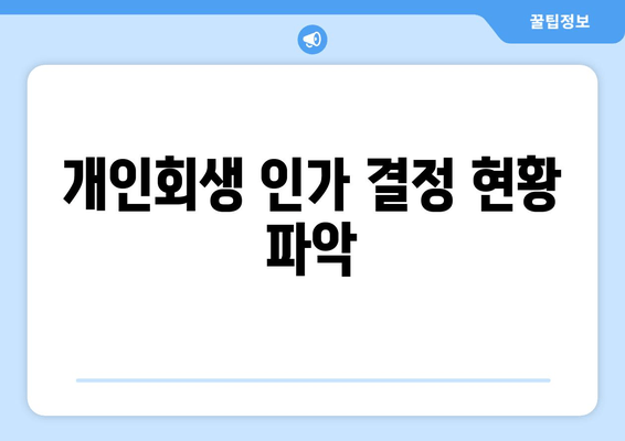 개인회생 인가 결정 현황 파악