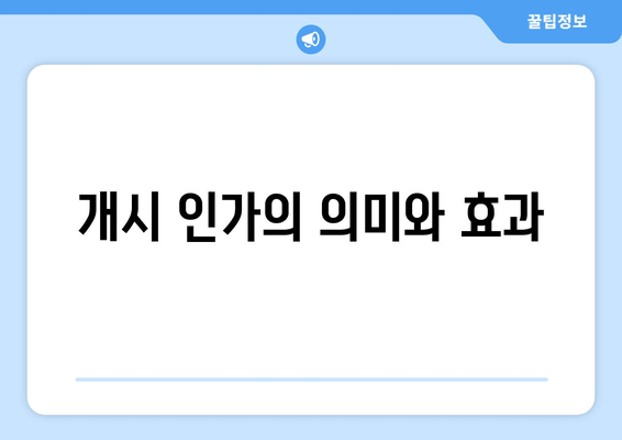 개시 인가의 의미와 효과