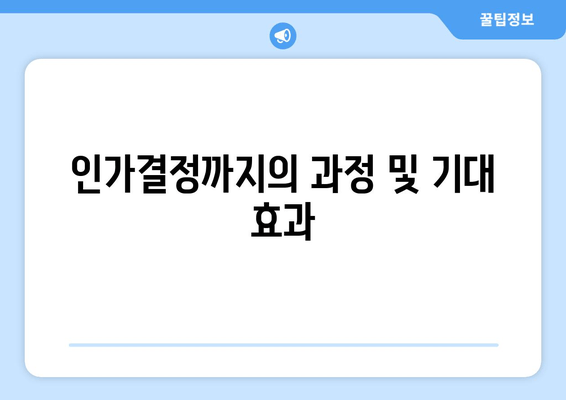 인가결정까지의 과정 및 기대 효과