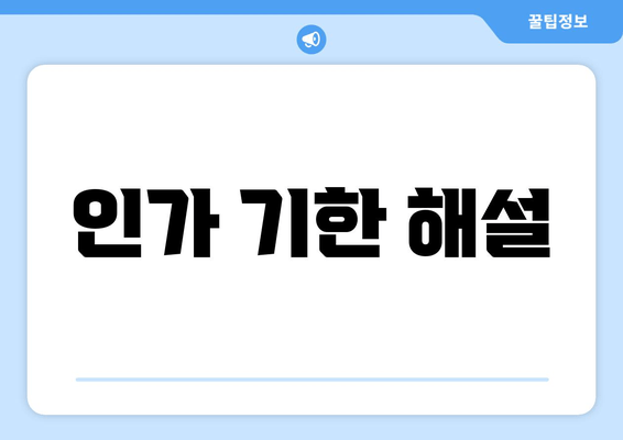 인가 기한 해설