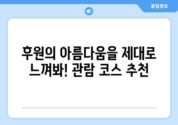 창덕궁 후원, 예약부터 관람까지 완벽 가이드 | 예약 방법, 관람 요령, 주의사항