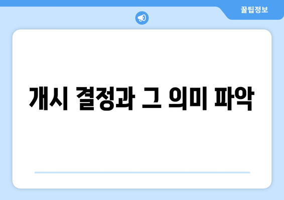 개시 결정과 그 의미 파악