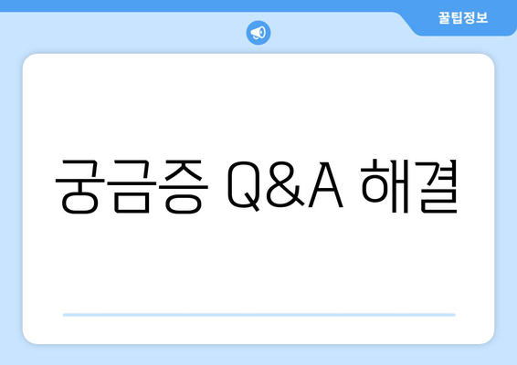 궁금증 Q&A 해결