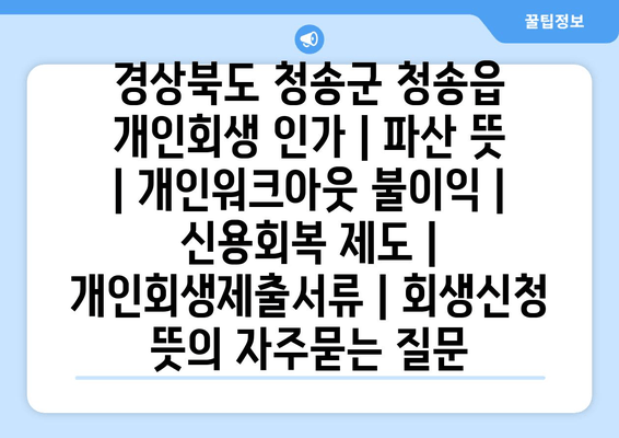 경상북도 청송군 청송읍 개인회생 인가 | 파산 뜻 | 개인워크아웃 불이익 | 신용회복 제도 | 개인회생제출서류 | 회생신청 뜻