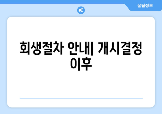 회생절차 안내| 개시결정 이후