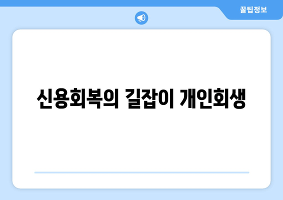 신용회복의 길잡이 개인회생