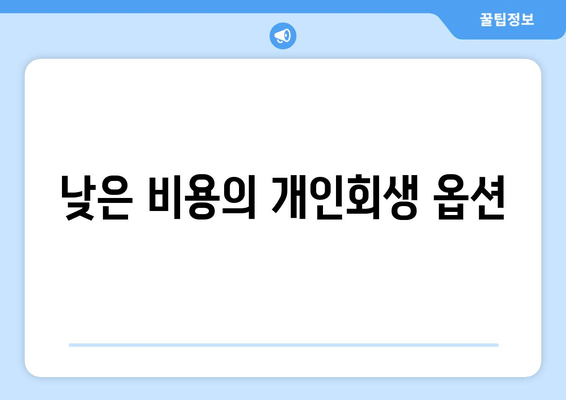 낮은 비용의 개인회생 옵션