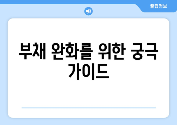 부채 완화를 위한 궁극 가이드