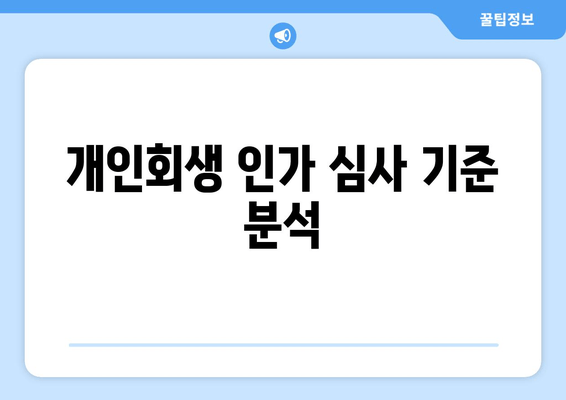 개인회생 인가 심사 기준 분석