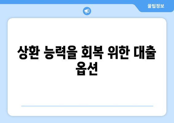 상환 능력을 회복 위한 대출 옵션