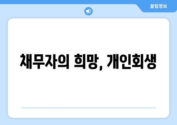 채무자의 희망, 개인회생