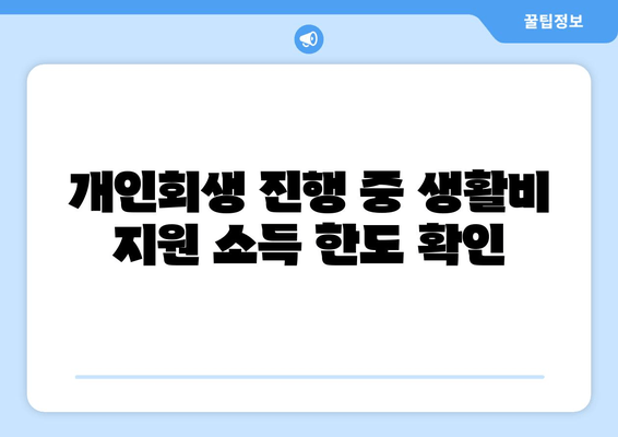 개인회생 진행 중 생활비 지원 소득 한도 확인