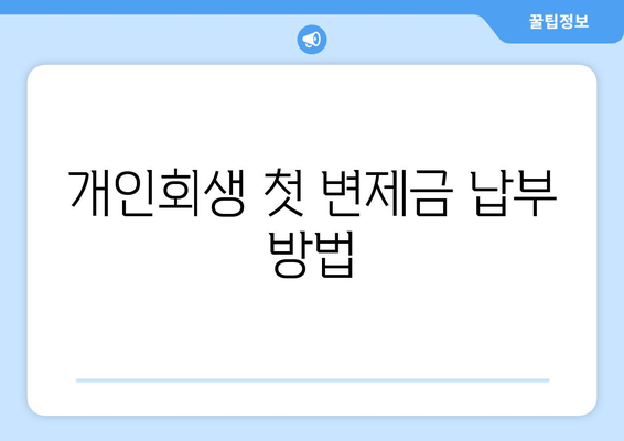 개인회생 첫 변제금 납부 방법