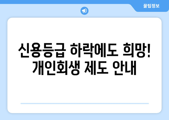 신용등급 하락에도 희망! 개인회생 제도 안내