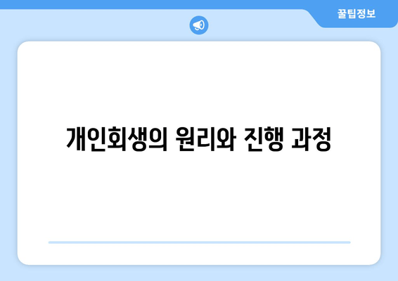 개인회생의 원리와 진행 과정