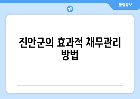 진안군의 효과적 채무관리 방법