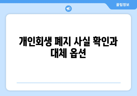 개인회생 폐지 사실 확인과 대체 옵션