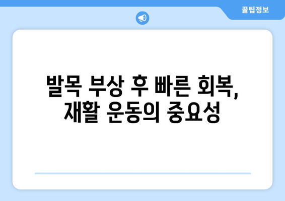 발목 염좌, 관절염, 골절| 통증과 붓기 완화를 위한 가이드 | 발목 부상, 통증 관리, 치료