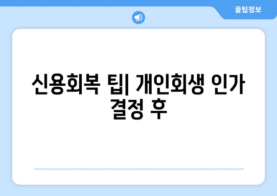 신용회복 팁| 개인회생 인가 결정 후