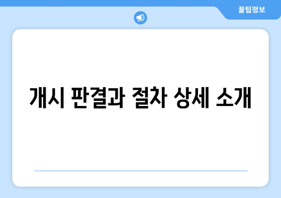 개시 판결과 절차 상세 소개