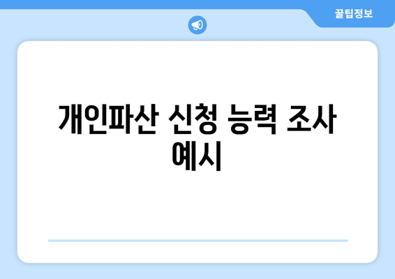 개인파산 신청 능력 조사 예시