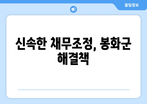 신속한 채무조정, 봉화군 해결책