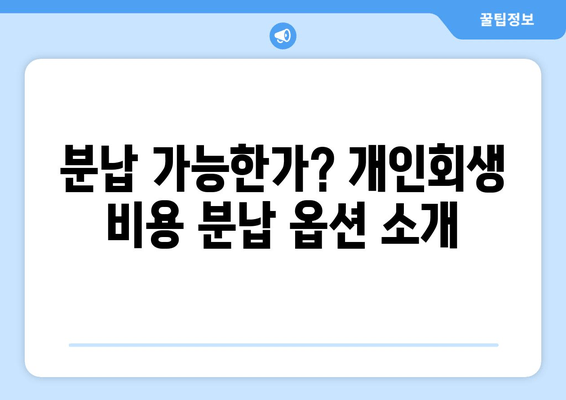 분납 가능한가? 개인회생 비용 분납 옵션 소개